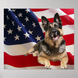 Impressão german shepherd