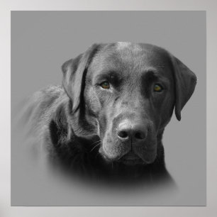 Impressão impressionante de labrador retriever