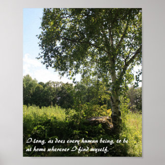 Impressão Inspiracional Birch Tree