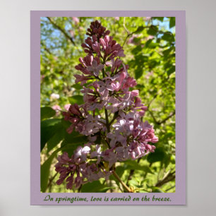 Impressão Inspiracional Lilac Springtime