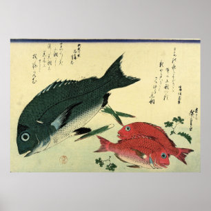 Impressão japonês dos peixes de Kurodai & de