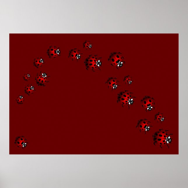 Impressão Ladybug Art Large Ladybird Poster (Frente)