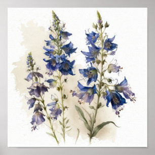 Impressão Larkspur Flower Art