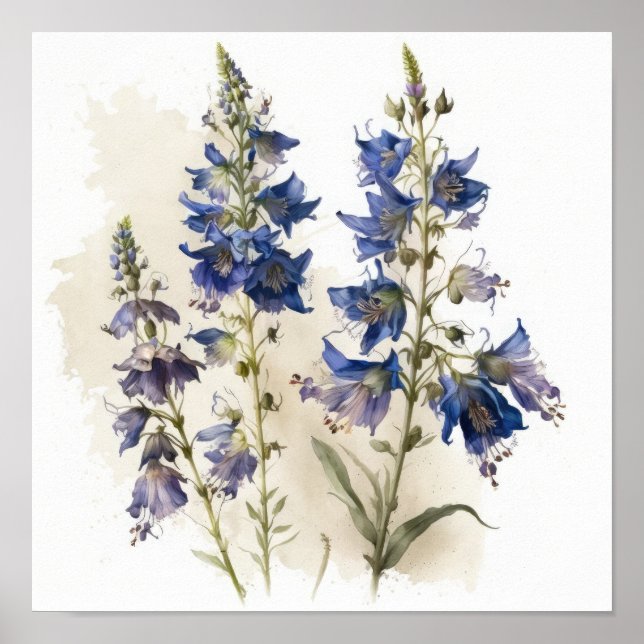 Impressão Larkspur Flower Art (Frente)
