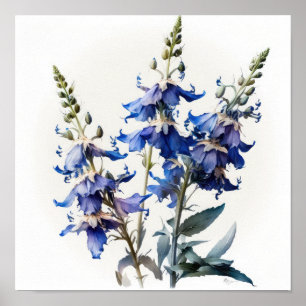Impressão Larkspur Flower Art