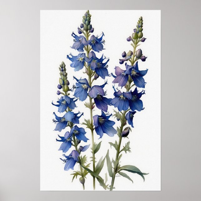 Impressão Larkspur Flower Art (Frente)
