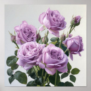 Impressão lavanda de Poster de pintura de Rosa