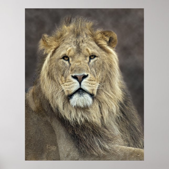 Impressão Leo (Frente)
