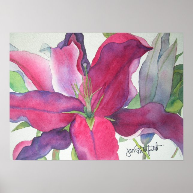 Impressão Lily Rosa (Frente)