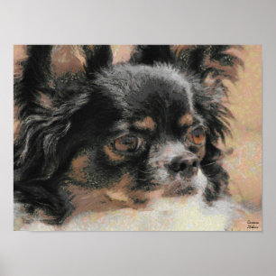 Impressão longo bonito do poster da chihuahua do