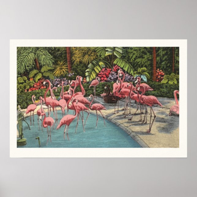 Impressão Majestosa de Flamingos (Frente)