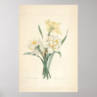 Impressão Narciso Canvas