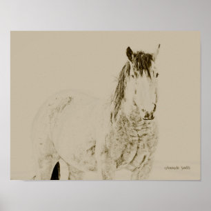 impressão ocidental do cavalo da arte, retro,