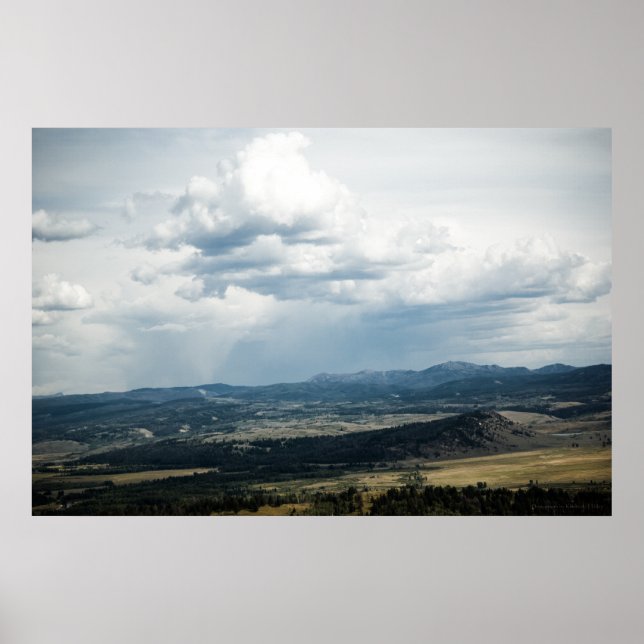 impressão #P6993 (Frente)