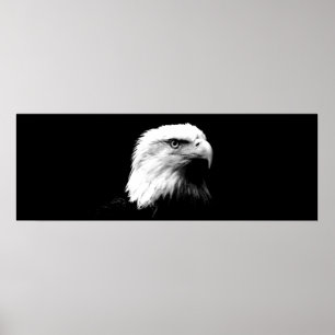 Impressão panorâmico do poster de Eagle do