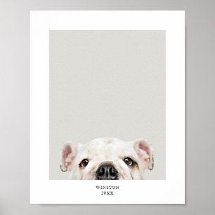 Impressão Personalizada de Foto e Nome de Animal d