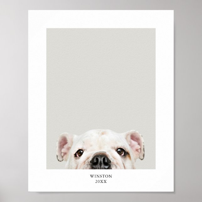 Impressão Personalizada de Foto e Nome de Animal d (Frente)