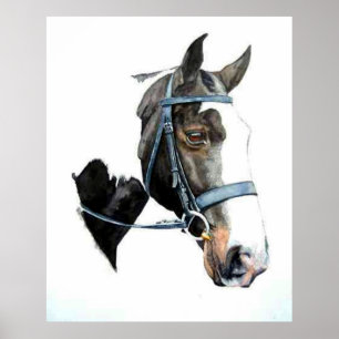 Impressão pesado do poster do retrato do cavalo d