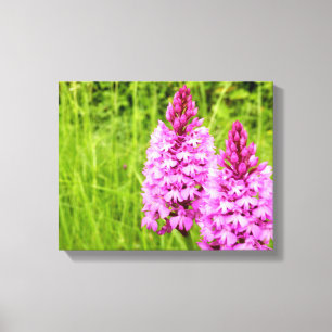 Impressão piramidal das canvas da orquídea