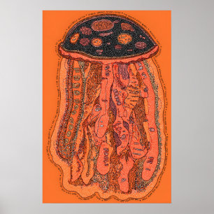 Impressão Pop Art de Água-viva Vermelha Abstrata P