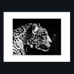 Impressão Pop de Arte Jaguar - Posters Jaguar<br><div class="desc">Posters de Retrato Jaguar Preto e Branco - Imagem Jaguar de Arte Pop - Grandes Impressões de Gatos Selvagens - O Chefe do Jaguar - Face de Jaguar</div>