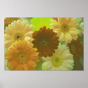 Impressão Poster