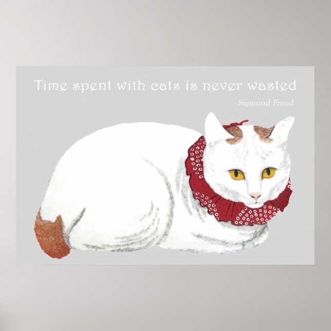 Impressão Poster de Gato Branco (Frente)