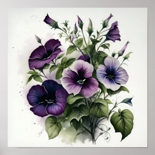 Impressão Poster de Suplente de Petunias Roxo (Frente)