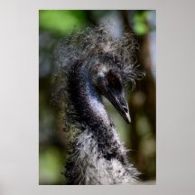 Impressão, Poster de valor (Matte)