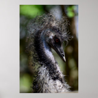 Impressão, Poster de valor (Matte)