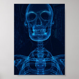 Impressão, Poster de valor (Matte)