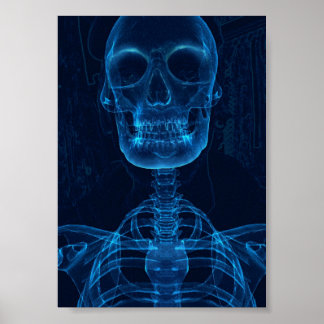 Impressão, Poster de valor (Matte)