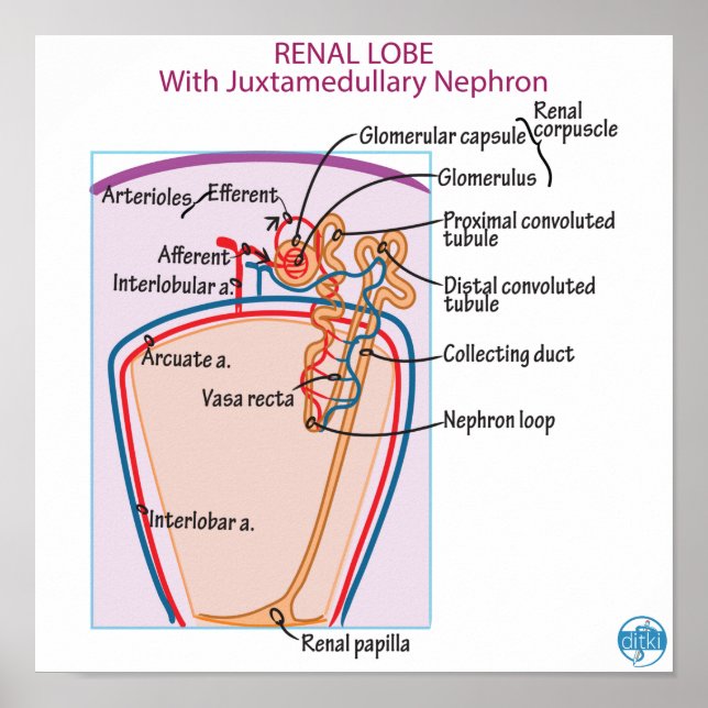 Impressão, Poster de valor (Matte) (Frente)
