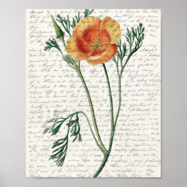 Impressão, Poster de valor (Matte)