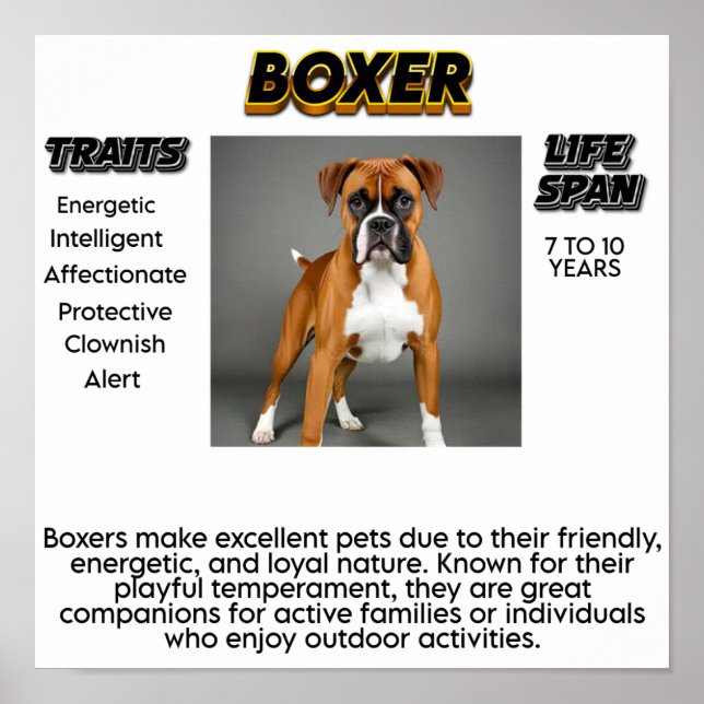 Impressão, Poster de valor (Matte) (Frente)