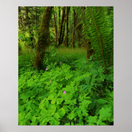 Impressão, Poster de valor (Matte)