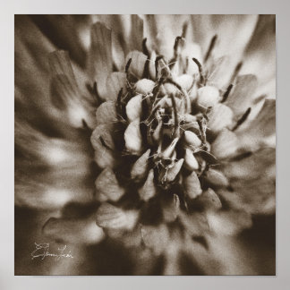 Impressão, Poster de valor (Matte)