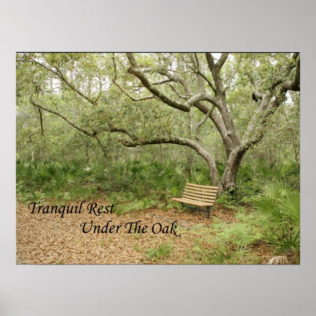 Impressão, Poster de valor (Matte) (Frente)