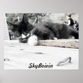 Impressão, Poster de valor (Matte)