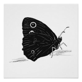 Impressão / Poster Monocromático de Borboleta