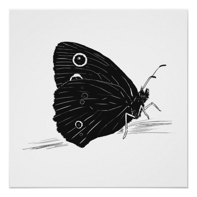 Impressão / Poster Monocromático de Borboleta (Frente)