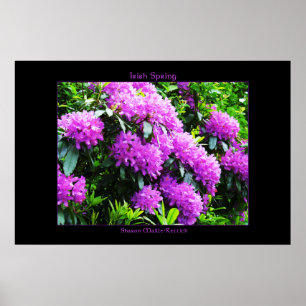 Impressão Primavera irlandês