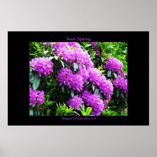 Impressão Primavera irlandês (Frente)