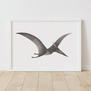 Impressão Pteradactyl Dinossaur cinza