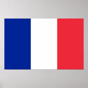 Impressão quadro com a bandeira de France