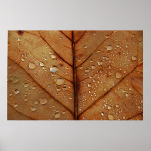 Impressão quadro outono