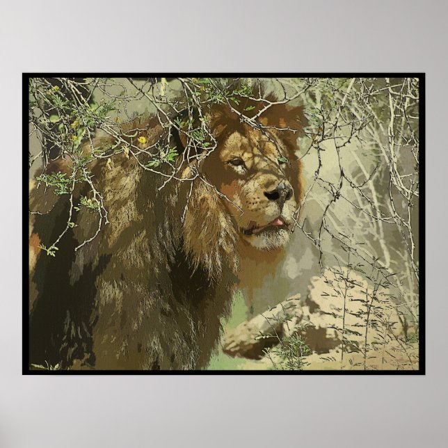 Impressão - Rei da Selva (Frente)