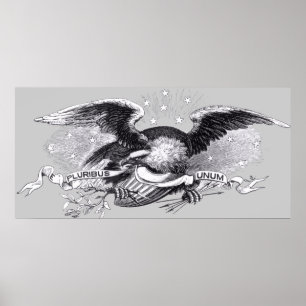 Impressão revolucionário de Eagle da guerra