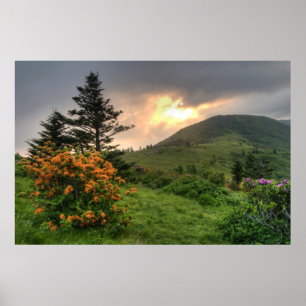 Impressão Roan da arte da montanha