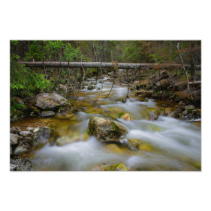Impressão rochoso da foto da angra da floresta